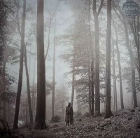 Folklore, Winyl, zdjęcie 4