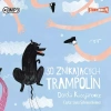 30 znikających trampolin. Audiobook - zdjęcie