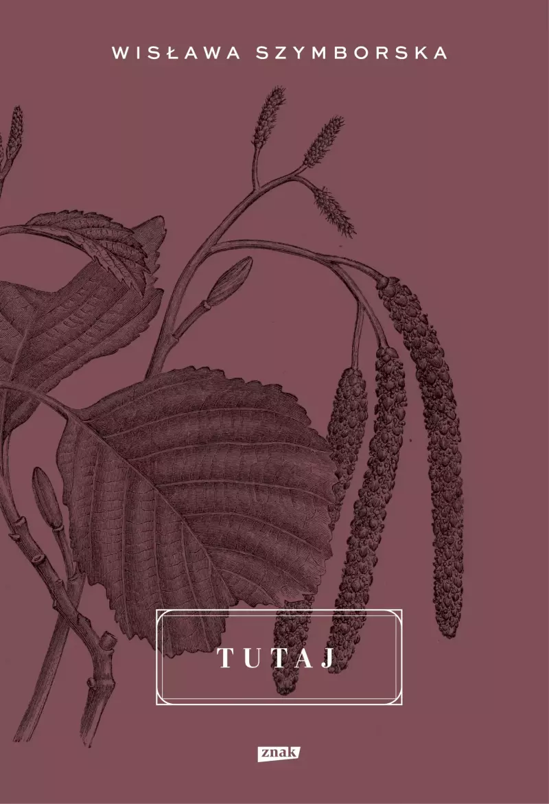 Tutaj Tutaj