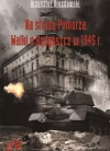 N straży Pomorza. Walki o Bydgoszcz w 1945 roku - zdjęcie