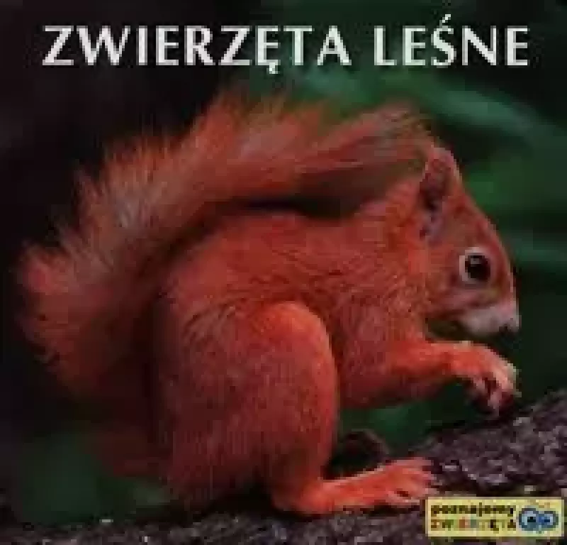 Zwierzęta leśne Zwierzęta leśne