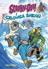 Scooby-Doo! I Człowiek Śniegu - zdjęcie