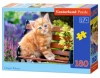 Puzzle 180 elementów. Rudy kotek - zdjęcie