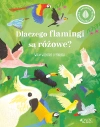 Dlaczego flamingi są różowe? Wiem wszystko o ptakach - zdjęcie