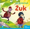Żuk - zdjęcie