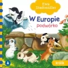 W Europie. Podwórko. Królik - zdjęcie