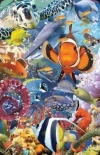 Mini kartka 3D Ocean - zdjęcie