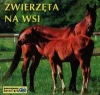 Poznajemy zwierzęta. Zwierzęta na wsi - zdjęcie