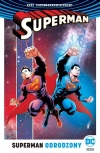 Superman. Odrodzony - zdjęcie