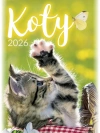 Kalendarz ścienny 2026, koty - zdjęcie
