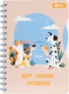 Notes A5 na spirali CAT&DOG z okienkiem 80 ark. Happy Color - zdjęcie