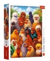 Puzzle 1000 Kury TREFL - zdjęcie