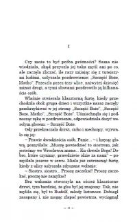 Perły i plewy. Powieść o wyjątkowych kobietach XIX wieku, zdjęcie 13