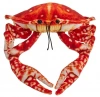 Maskotka Krab pomarańczowy - 26cm - zdjęcie