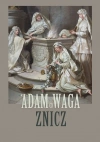 Znicz - zdjęcie