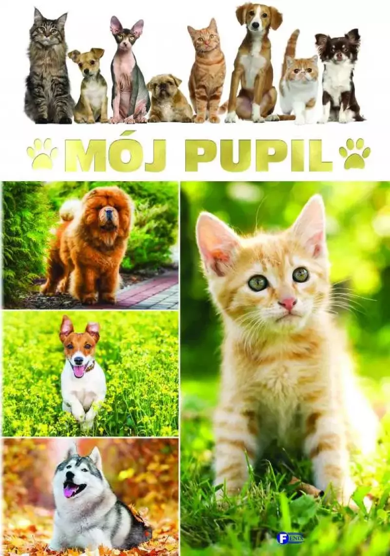 Mój pupil Mój pupil