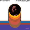 The Awakening, LP - zdjęcie