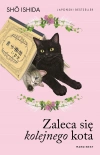 Zaleca się kolejnego kota - zdjęcie