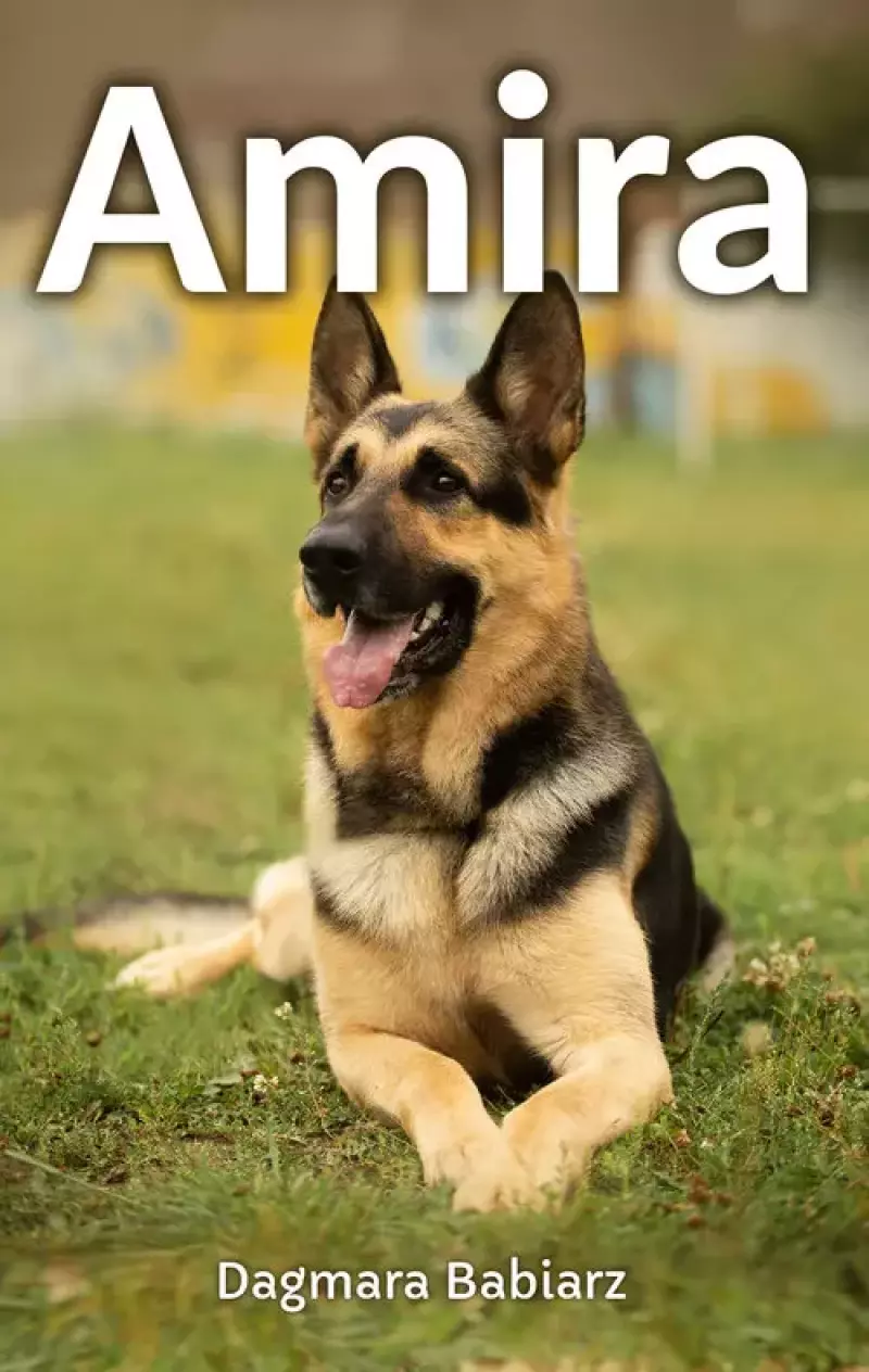 Amira Amira