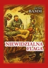 Niewidzialna flaga - zdjęcie