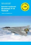 Samolot myśliwski Grumman F-14 Tomcat - zdjęcie