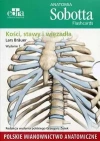 Anatomia Sobotta Flashcards. Kości, stawy i więzadła. Polskie mianownictwo anatomiczne - zdjęcie