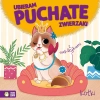 Ubieram puchate zwierzaki. Kotki - zdjęcie