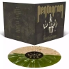 First Daze Here LP SPLATTER, Winyl - zdjęcie