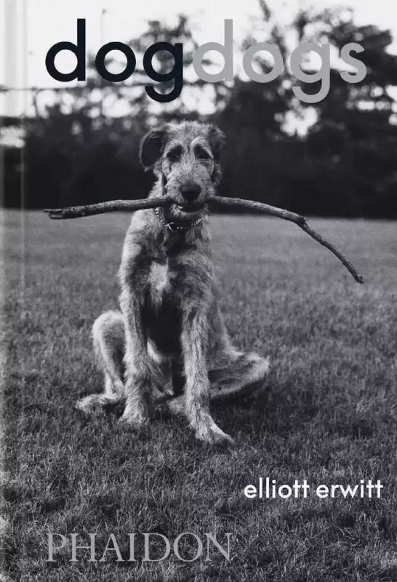 DogDogs wer. angielska DogDogs wer. angielska