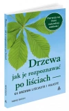 Drzewa - jak je rozpoznawać po liściach - zdjęcie