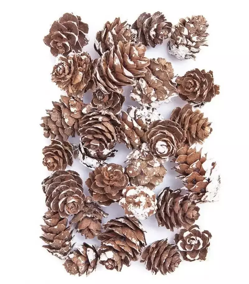 Mini szyszki bielone 25g Mini szyszki bielone 25g