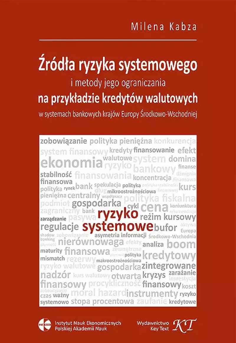 Źródła ryzyka systemowego i metody jego ograniczania Źródła ryzyka systemowego i metody jego ograniczania