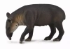 Tapir Bairda L - zdjęcie
