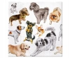 Serwetki papierowe Paw Dogs Happiness 33x33 cm 20 szt. - zdjęcie
