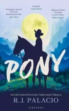 Pony - zdjęcie