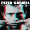 Peter Gabriel Woodstock 1994 - Płyta winylowa - zdjęcie