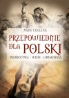 Przepowiednie dla Polski. Proroctwa, wizje, objawienia - zdjęcie
