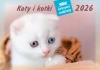 Kalendarz 2026 rodzinny Koty i kotki - zdjęcie