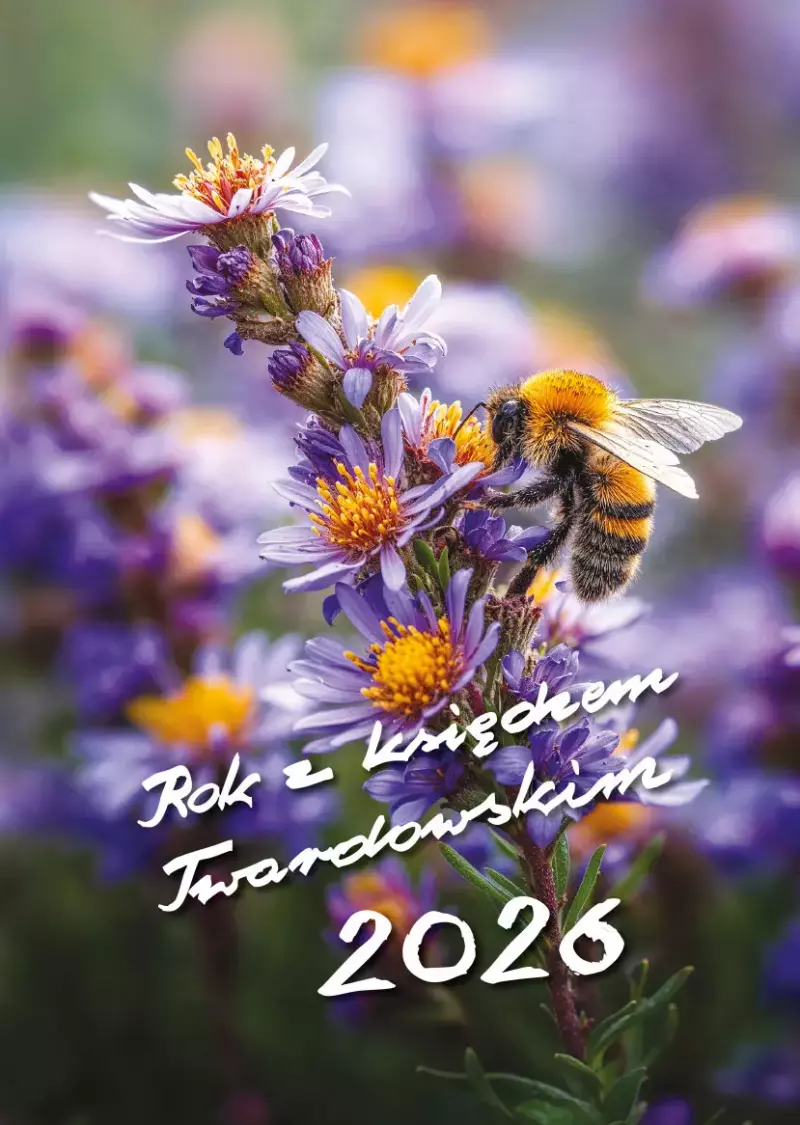 Rok z księdzem Twardowskim 2026. Pszczoła