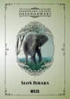 Słoń Birara - zdjęcie