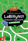 Łamigłówki bystrzaka. Labirynty. Dodawanie i odejmowanie - zdjęcie