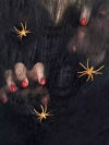 Czarna pajęczyna z pająkiem - zdjęcie