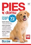 Pies w domu - zdjęcie