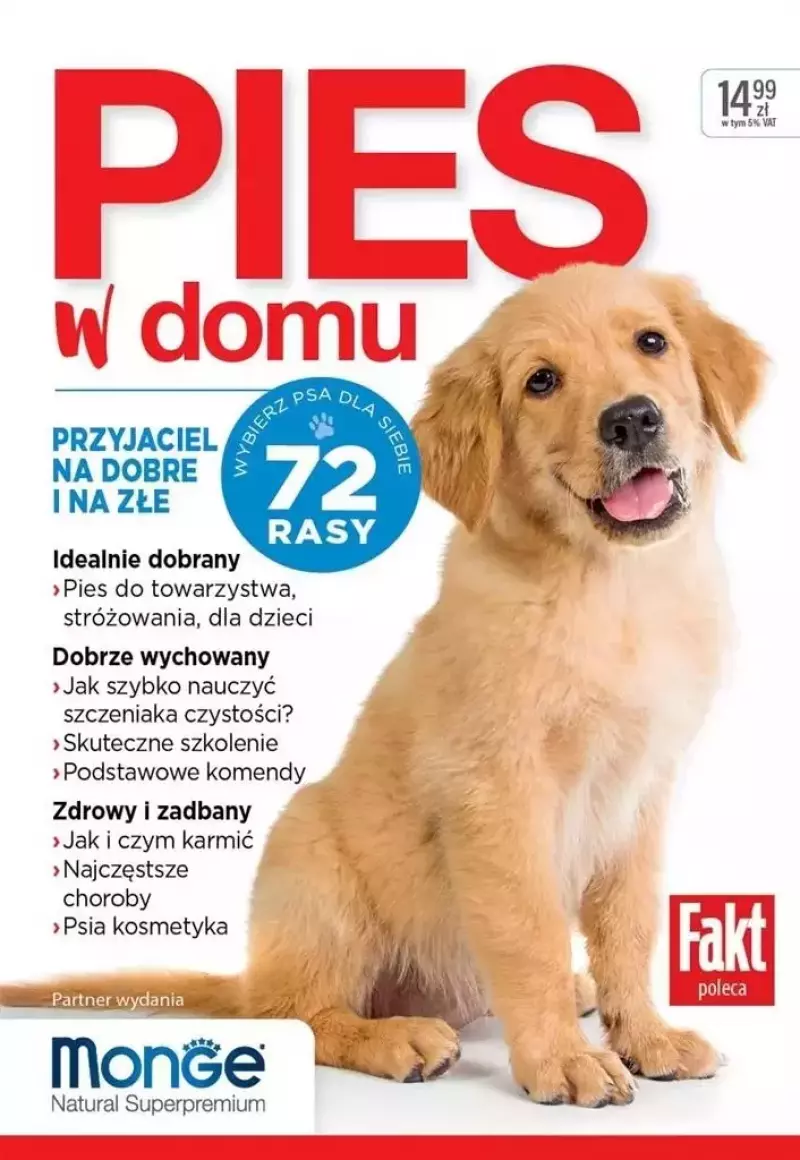 Pies w domu Pies w domu