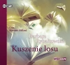 Kuszenie losu. Audiobook - zdjęcie