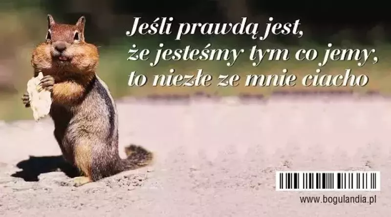 Magnes na lodówkę. Jeśli prawdą jest... Magnes na lodówkę. Jeśli prawdą jest...