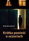 Krótka powieść o uczuciach - zdjęcie