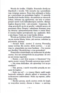 Perły i plewy. Powieść o wyjątkowych kobietach XIX wieku, zdjęcie 16