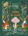 Opowieści 5 minut przed snem. Cuda w lesie - zdjęcie