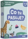 Moje pierwsze słowa. Co tu pasuje? - zdjęcie